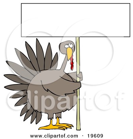 Clipart Illustration of a Plump Turkey Bird Holding A Tall Blank White Sign by djart