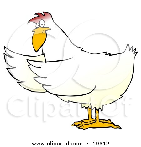 Clipart Illustration of a White Chicken Holding Its Wings Out To The Side As If Presenting Something by djart