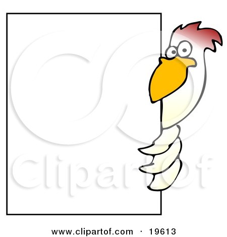 Clipart Illustration of a White Chicken Bird Peeking Around A Large White Sign by djart