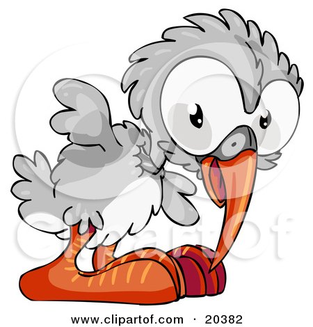 Clipart Illustration of a Long Beaked Gray Bird With Big Orange Feet by Tonis Pan