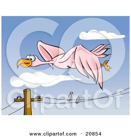 Clipart Illustration of Two Pigeons Perched On A Telephone Wire, Watching A Pink Bird Fly High In The Sky by Paulo Resende