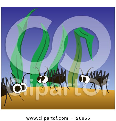 Clipart Illustration of Three Cute Ants Walking In Tall Blades Of Grass, Scrounging For Food by Paulo Resende