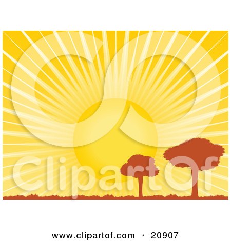 Clipart Illustration of Two Silhouetted Meadow Trees Under A Bright Sun With Bright Rays Of Light by elaineitalia