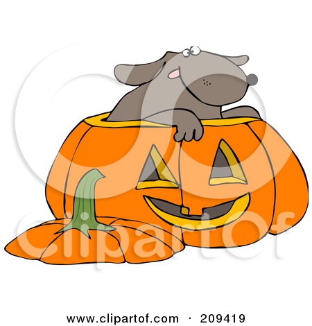 Royalty-Free (RF) Clipart Illustration of a Dog Inside A Halloween Pumpkin by djart