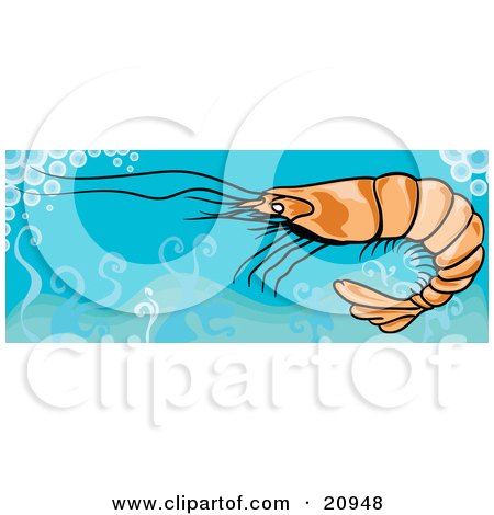 Clipart Picture of a Swimming Shrimp In Clean Blue Waters by Paulo Resende