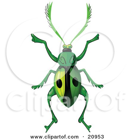 Clipart Picture of a Green Beetle With Two Spots On Its Wings And Long Hairy Antennae Over A White Background by Paulo Resende