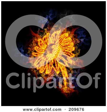 Royalty-Free (RF) Clipart Illustration of a Blazing Sunflower by Michael Schmeling
