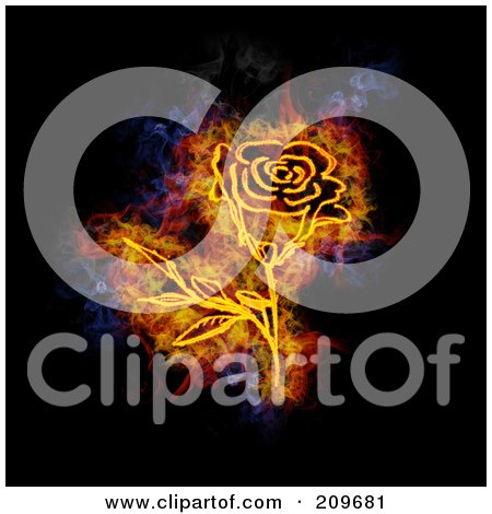 Royalty-Free (RF) Clipart Illustration of a Blazing Rose by Michael Schmeling