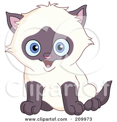 Royalty-Free (RF) Clipart Illustration of a Happy Blue Eyed Siamese Kitten Sitting by yayayoyo