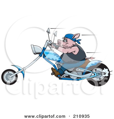 Royalty-Free (RF) Clipart Illustration of a Tough Hog Riding A Blue Chopper Motorcycle And Speeding Past by Dennis Holmes Designs