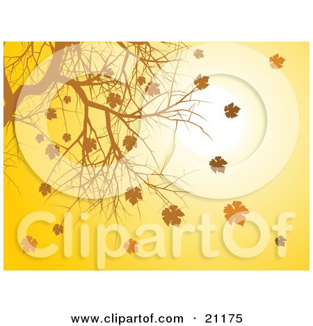 Clipart Illustration of a Background Of Autumn Leaves Falling From A Bare Tree Branch At Sunset by elaineitalia