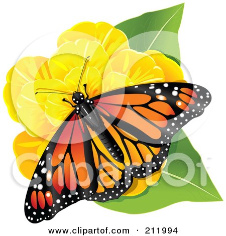 Royalty-Free (RF) Clipart Illustration of a Monarch Butterfly On A Yellow Flower And Green Leaves by Pushkin