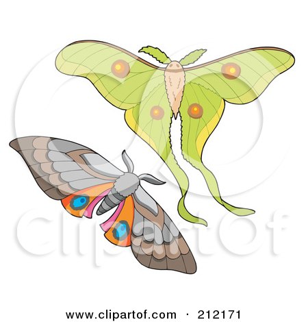 Royalty-Free (RF) Clipart Illustration of a Digital Collage Of Two Elegant Moths by visekart