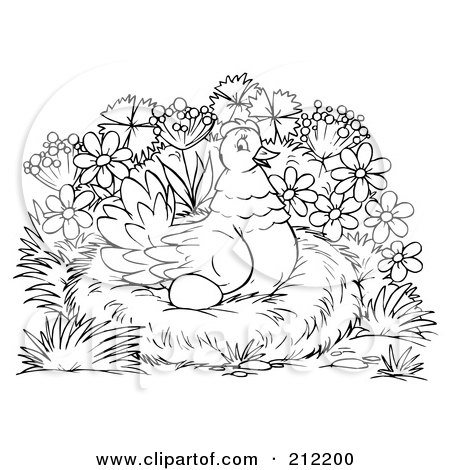 Royalty-Free (RF) Clipart Illustration of a Coloring Page Outline Of A Hen Nesting by Alex Bannykh