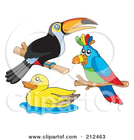 Royalty-Free (RF) Clipart Illustration of a Digital Collage Of A Toucan, Parrot And Duck by visekart