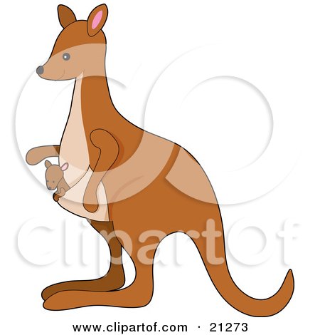 Clipart Illustration of a Baby Joey Riding In A Kangaroo Pouch In Profile by Maria Bell
