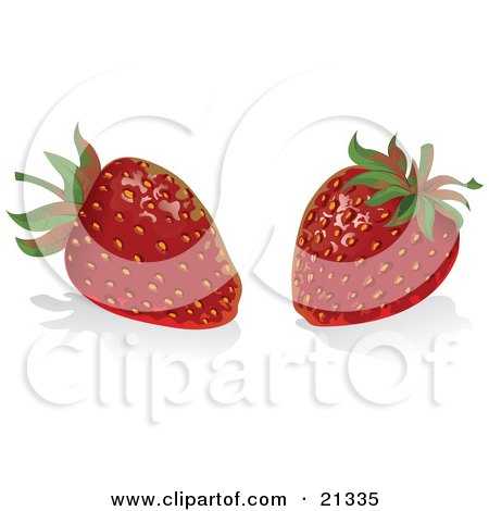 Clipart Illustration of Two Ripe Red Strawberries Resting On A White Reflective Counter by Paulo Resende