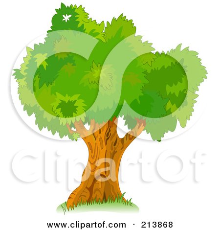 Royalty-Free (RF) Clipart Illustration of a Mature Tree With Green Foliage by Pushkin