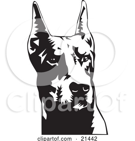 Clipart Illustration of a Doberman Pinscher Or Dobie Dog Wiith Cropped Ears by David Rey