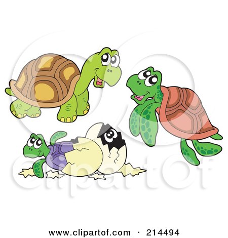 Royalty-Free (RF) Clipart Illustration of a Digital Collage Of Turtles by visekart