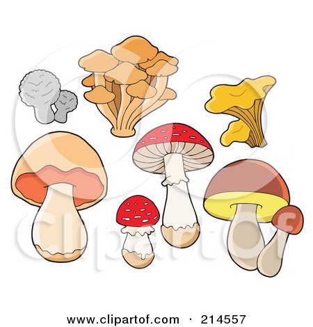 Royalty-Free (RF) Clipart Illustration of a Digital Collage Of Mushrooms by visekart