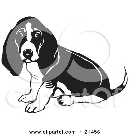 Clipart Illustration of a Basset Hound Dog With Sitting And Looking At The Viewer While Wagging His Tail by David Rey