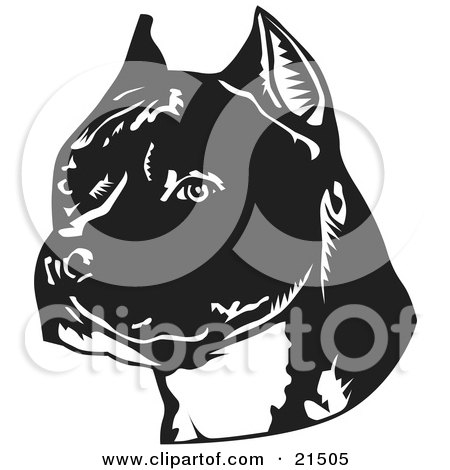 Clipart Illustration of an American Staffordshire Terrier Dog's Head, Facing Slightly Left by David Rey