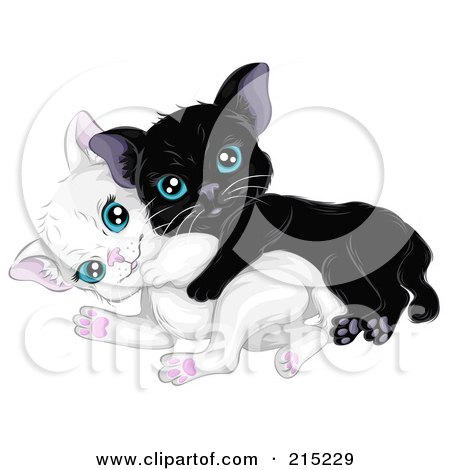 Royalty-Free (RF) Clipart Illustration of Two Kittens, One Black, One White, Playing Together by BNP Design Studio