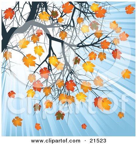 Clipart Illustration of Rays Of Light Shining Down In A Blue Sky On Orange And Yellow Autumn Leaves On A Tree Branch by elaineitalia