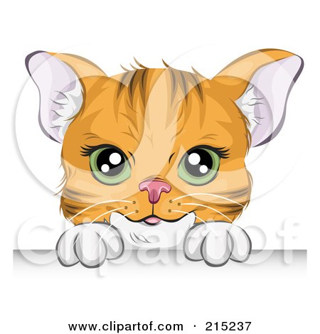 Royalty-Free (RF) Clipart Illustration of a Green Eyed, Orange Cat Looking Over A Board by BNP Design Studio