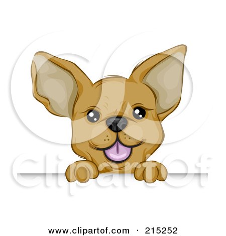 Royalty-Free (RF) Clipart Illustration of a Cute Chihuahua Puppy Looking Over A Board by BNP Design Studio