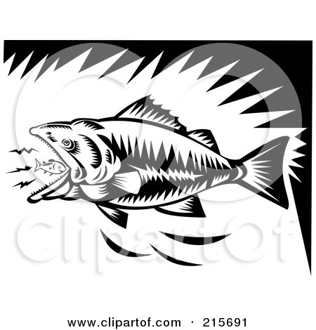Royalty-Free (RF) Clipart Illustration of a Black And White Largemouth Bass Eating A Tiny Fish by patrimonio