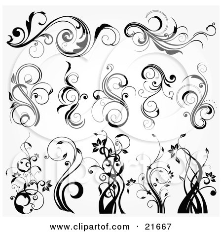 Clipart Picture Illustration of a Collection Of Botanical Scrolling Plants And Flowers, In Black And White by OnFocusMedia