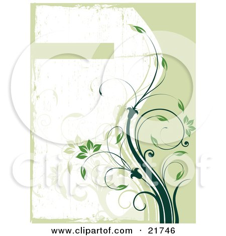 Clipart Picture Illustration of a Growing Green Vine With Flowers And Leaves Curving Towards A Text Box On A Green And White Background by OnFocusMedia