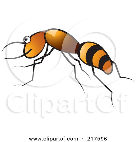 Royalty-Free (RF) Clipart Illustration of a Black And Orange Ant by Lal Perera