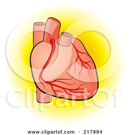 Royalty-Free (RF) Clipart Illustration of a Human Heart - 2 by Lal Perera
