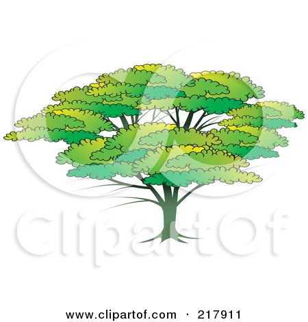 Royalty-Free (RF) Clipart Illustration of a Lush Green Tree With A Large Canopy by Lal Perera