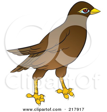 Royalty-Free (RF) Clipart Illustration of a Maina Bird - 2 by Lal Perera