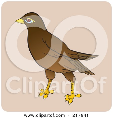 Royalty-Free (RF) Clipart Illustration of a Maina Bird - 3 by Lal Perera