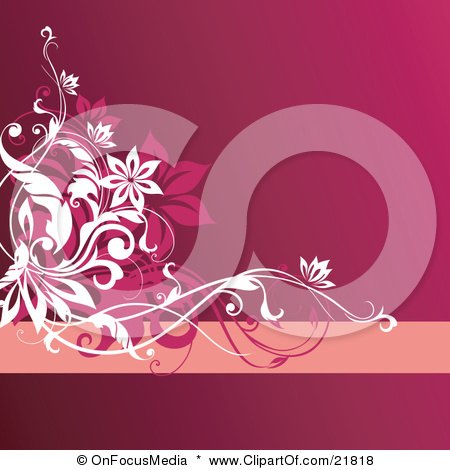 Clipart Picture Illustration of White And Pink Flowering Vines Over A Gradient Pink Background by OnFocusMedia