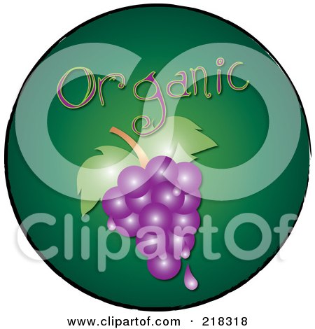Royalty-Free (RF) Clipart Illustration of a Bunch Of Juicy Organic Purple Grapes On A Green Circle by Pams Clipart