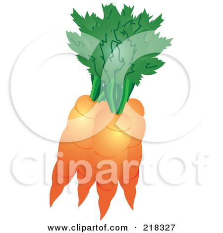 Royalty-Free (RF) Clipart Illustration of a Bundle Of Organic Orange Carrots by Pams Clipart