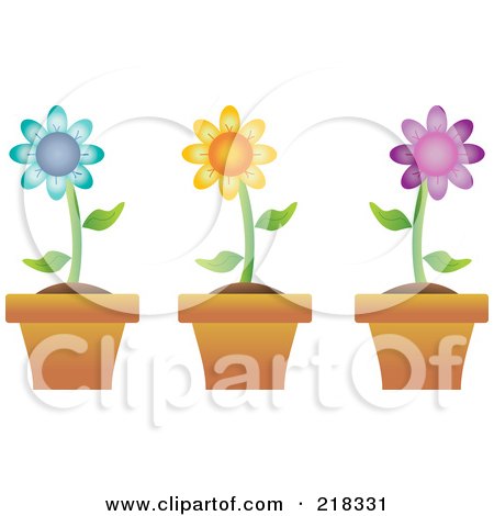 Royalty-Free (RF) Clipart Illustration of a Digital Collage Of Three Colorful Daisies In Terra Cotta Pots by Pams Clipart