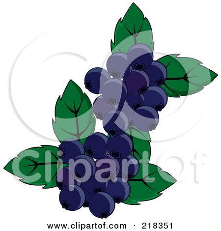 Royalty-Free (RF) Clipart Illustration of Blueberries And Leaves by Pams Clipart