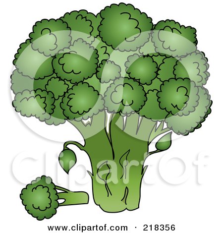 Royalty-Free (RF) Clipart Illustration of a Head Of Organic Broccoli by Pams Clipart