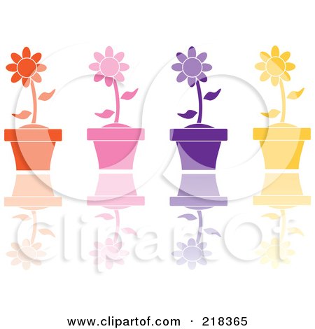 Royalty-Free (RF) Clipart Illustration of a Digital Collage Of Four Colorful Daisies In Terra Cotta Pots With Reflections by Pams Clipart