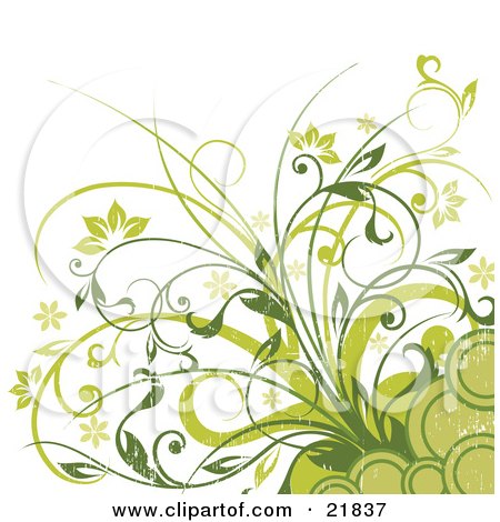 Clipart Picture Illustration of Flowering Green Plants With Circles On A White Background by OnFocusMedia