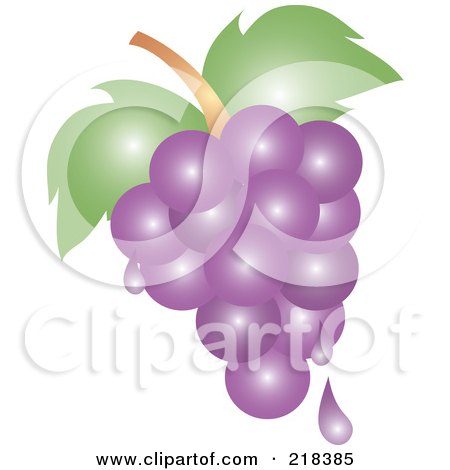 Royalty-Free (RF) Clipart Illustration of Juicy Purple Grapes by Pams Clipart