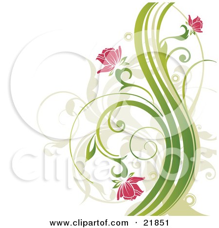 Clipart Picture Illustration of Pink Flowers Blooming On Curly Green Plants Over A White Background by OnFocusMedia