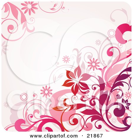 Clipart Picture Illustration of a Pale Pink Background With Blooming Daisy Flowers, Circles And Vines by OnFocusMedia